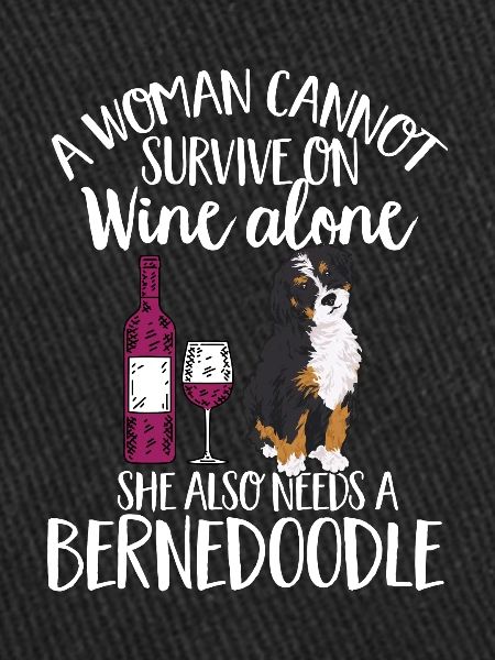 Bernedoodle Dog
