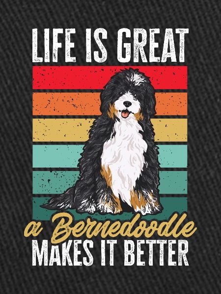Chien Bernedoodle
