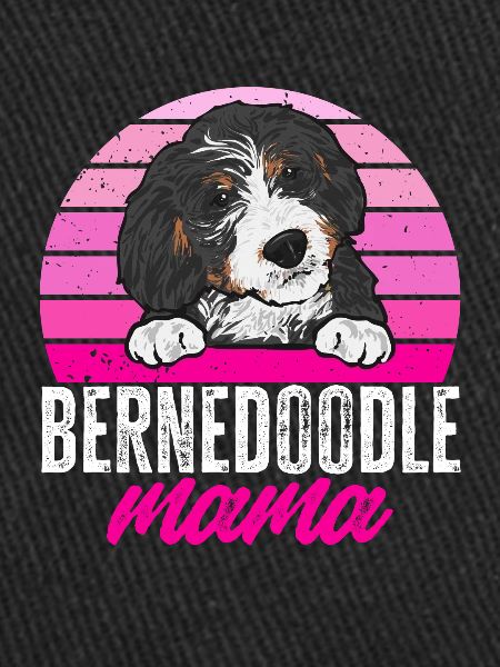 Bernedoodle Dog