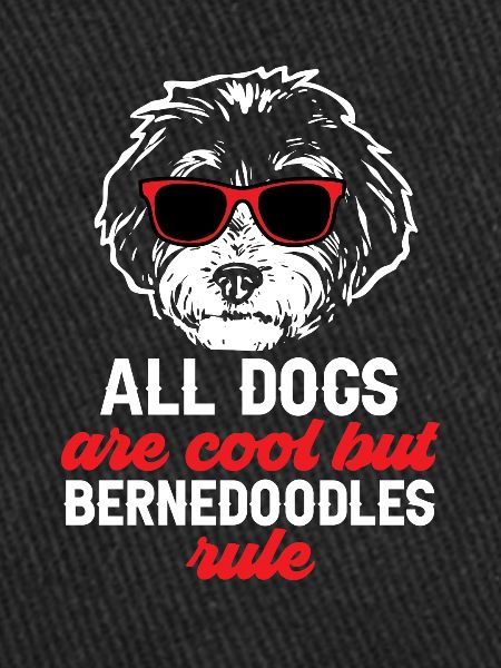 Chien Bernedoodle