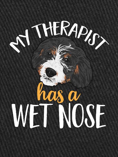 Chien Bernedoodle
