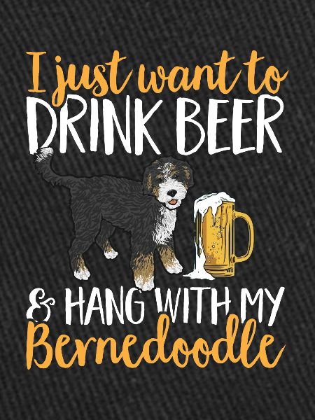 Bernedoodle Dog