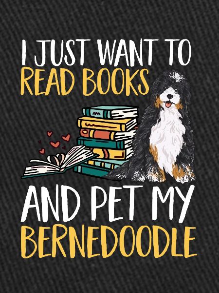 Bernedoodle Dog