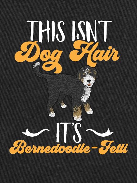 Bernedoodle Dog