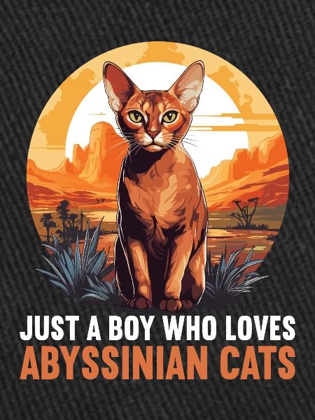 Abyssinian Cat Abessinierkatze