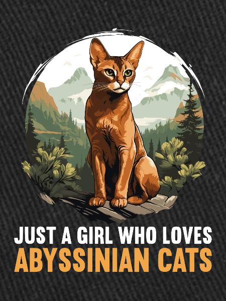 Abyssinian Cat Abessinierkatze