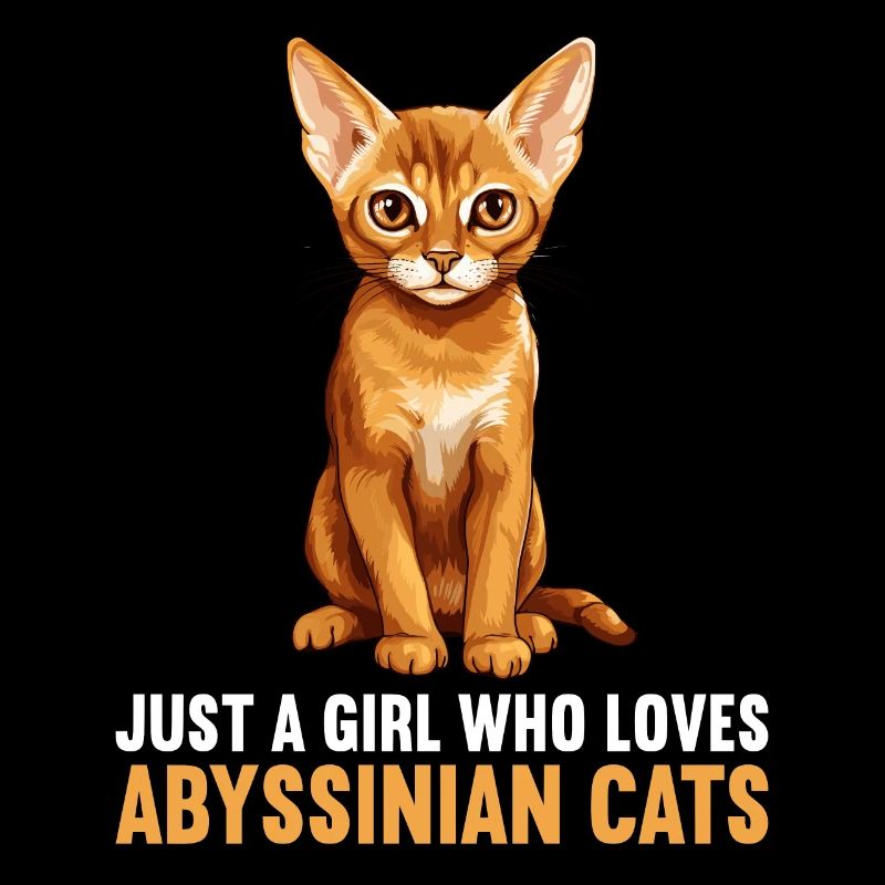 Abyssinian Cat Abessinierkatze