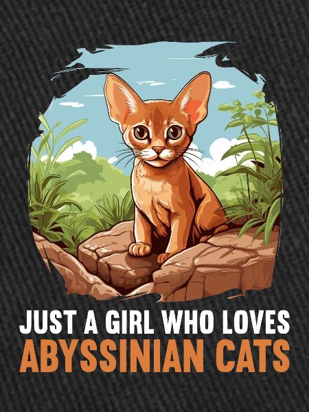 Abyssinian Cat Abessinierkatze