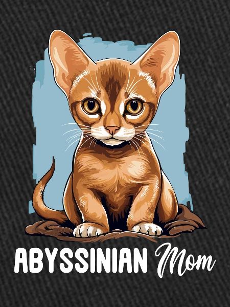 Abyssinian Cat Abessinierkatze