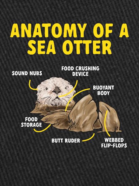 Loutre de mer