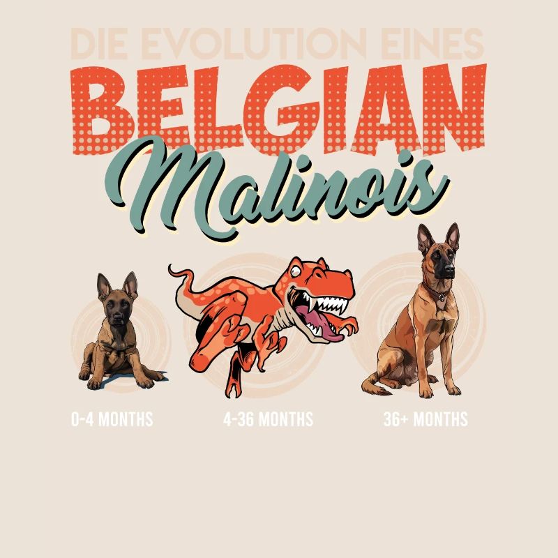 EVOLUTION EINES BELGIAN MALINOIS Belgischer