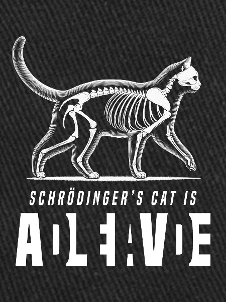 Chat de Schrödinger