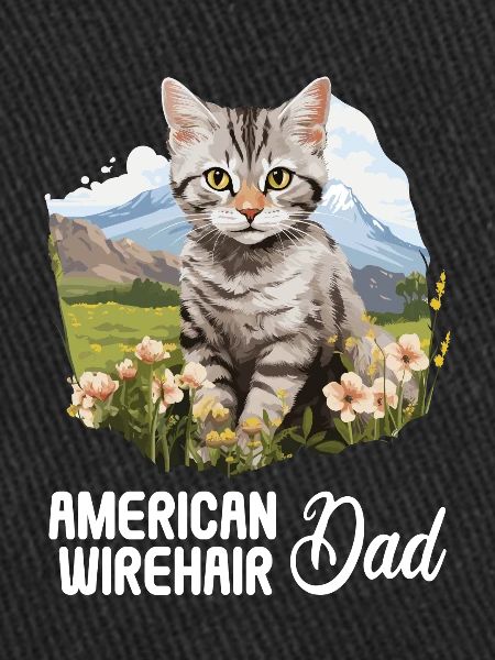Chat Chats American Wirehair