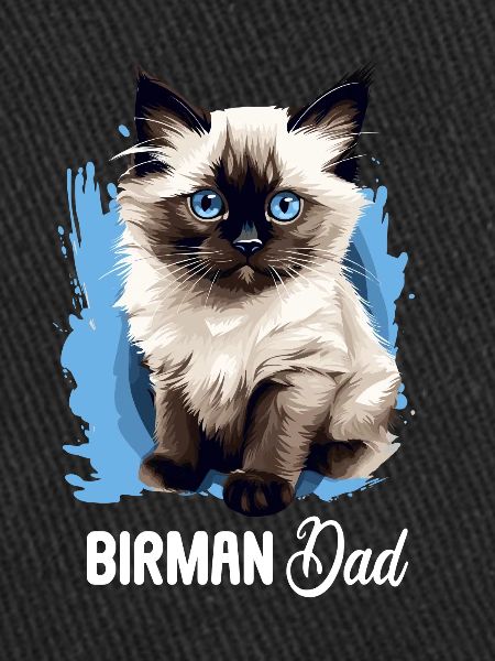 Birman Cat Birma Katze