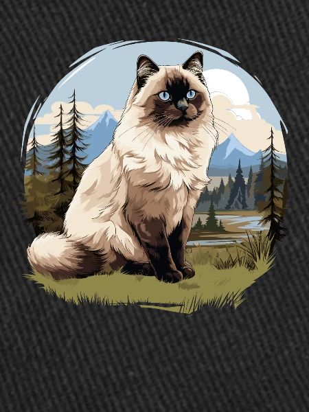 Birman Cat Birma Katze