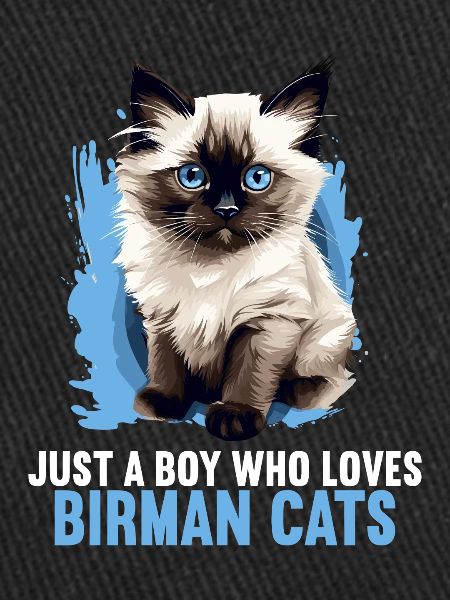 Birman Cat Birma Katze
