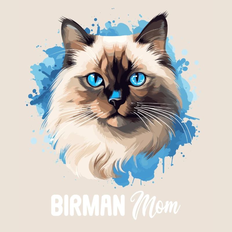 Birman Cat Birma Katze