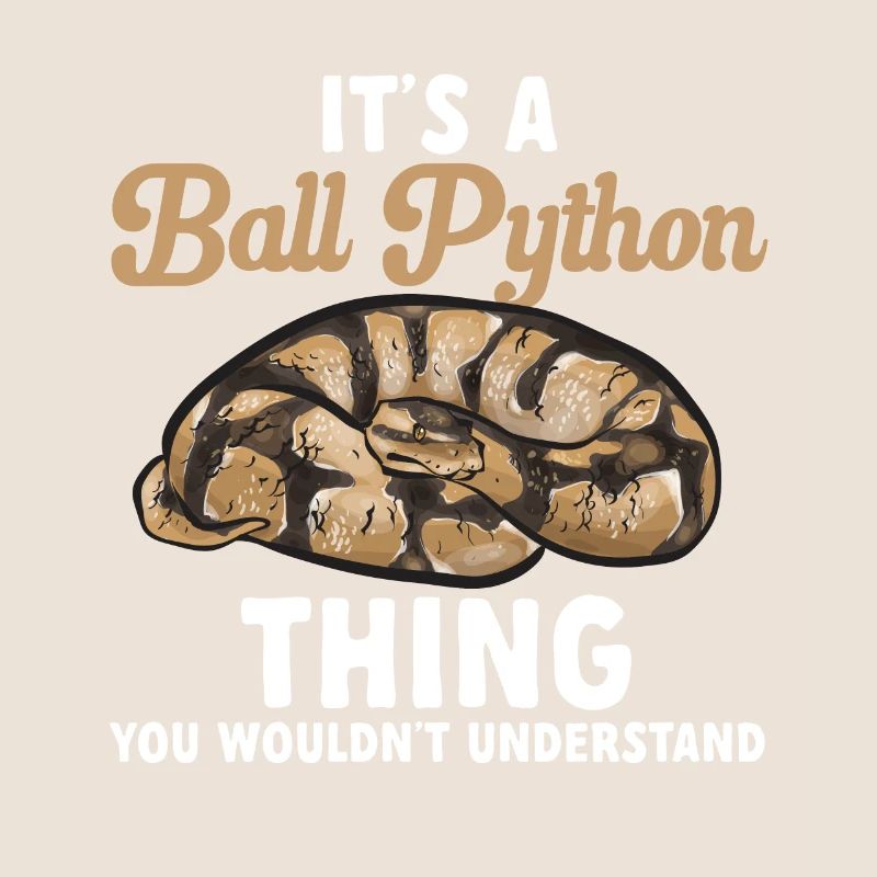 Ball Python Schlange Königspython