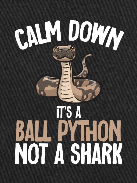 Ball Python Snake King Python