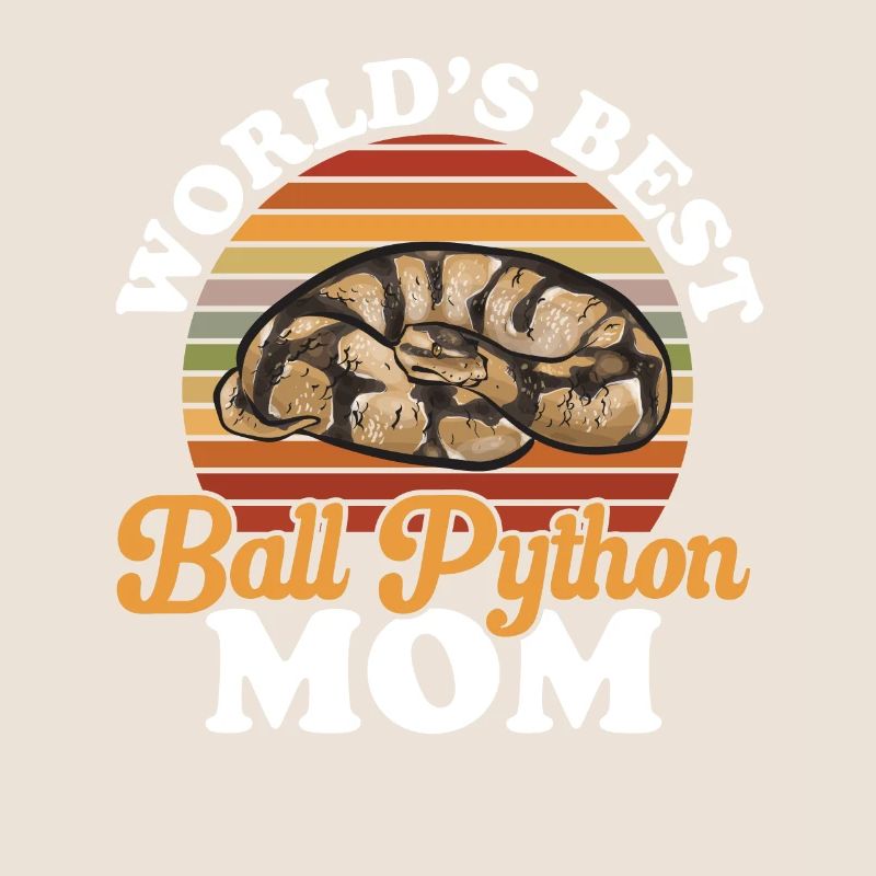 Ball Python Schlange Königspython