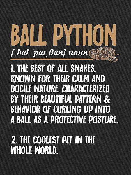 Ball Python Snake King Python