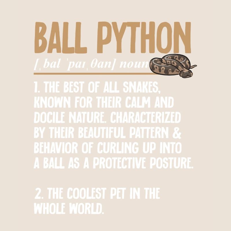 Ball Python Schlange Königspython