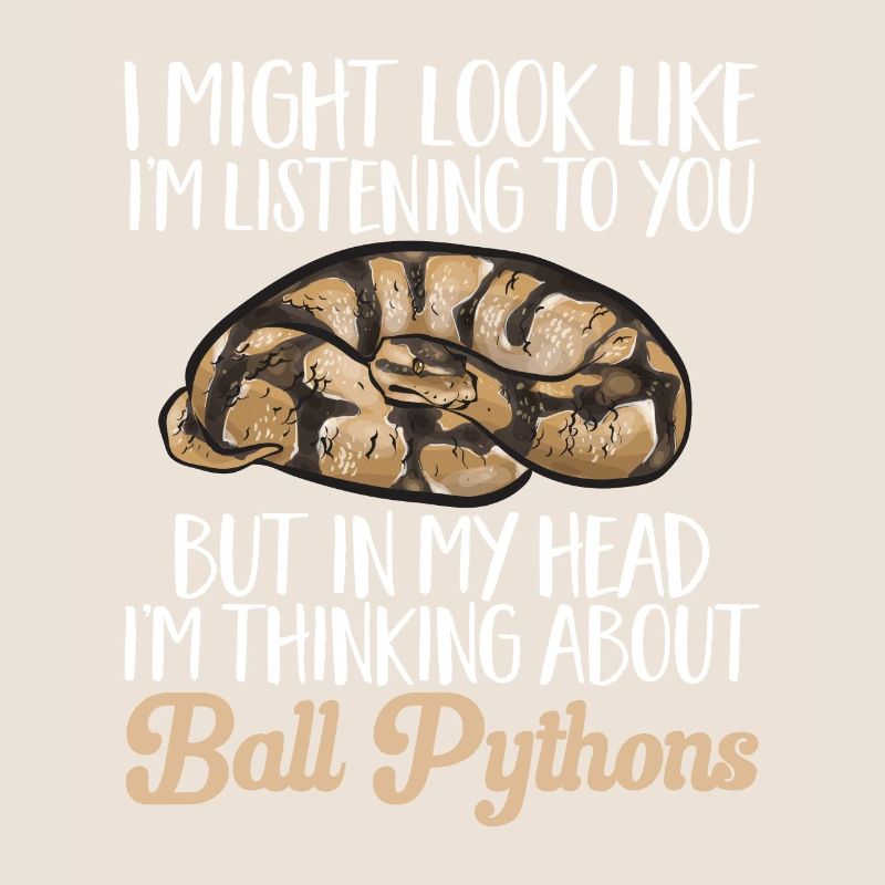 Ball Python Schlange Königspython