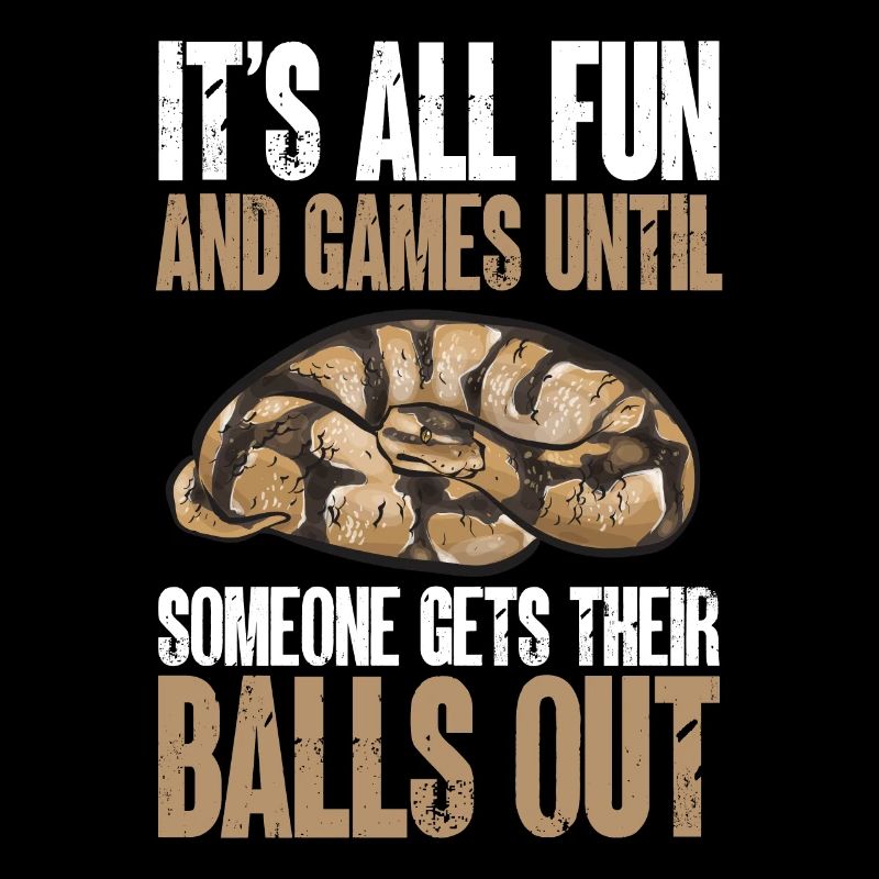 Ball Python Schlange Königspython