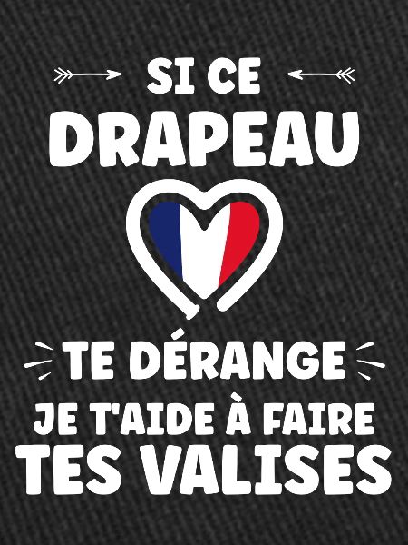 patriote drapeau france