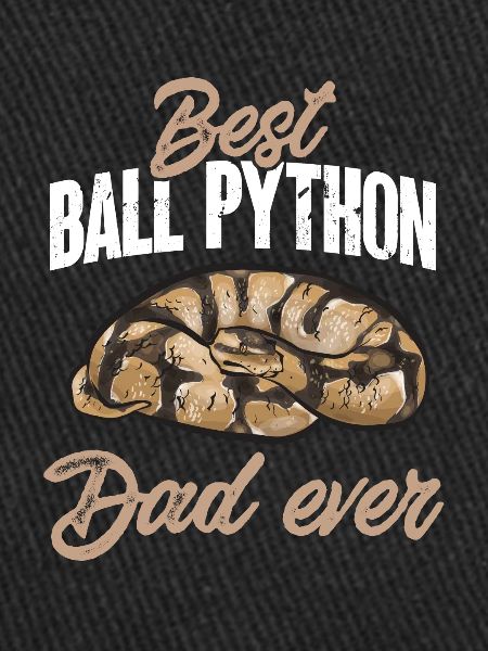Ball Python Snake King Python