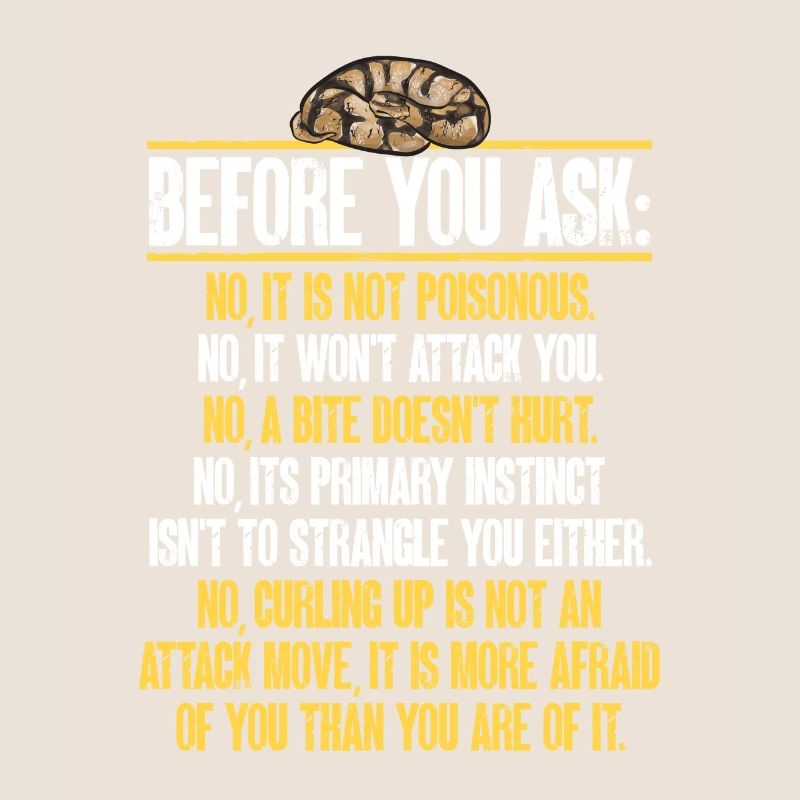 Ball Python Schlange Königspython