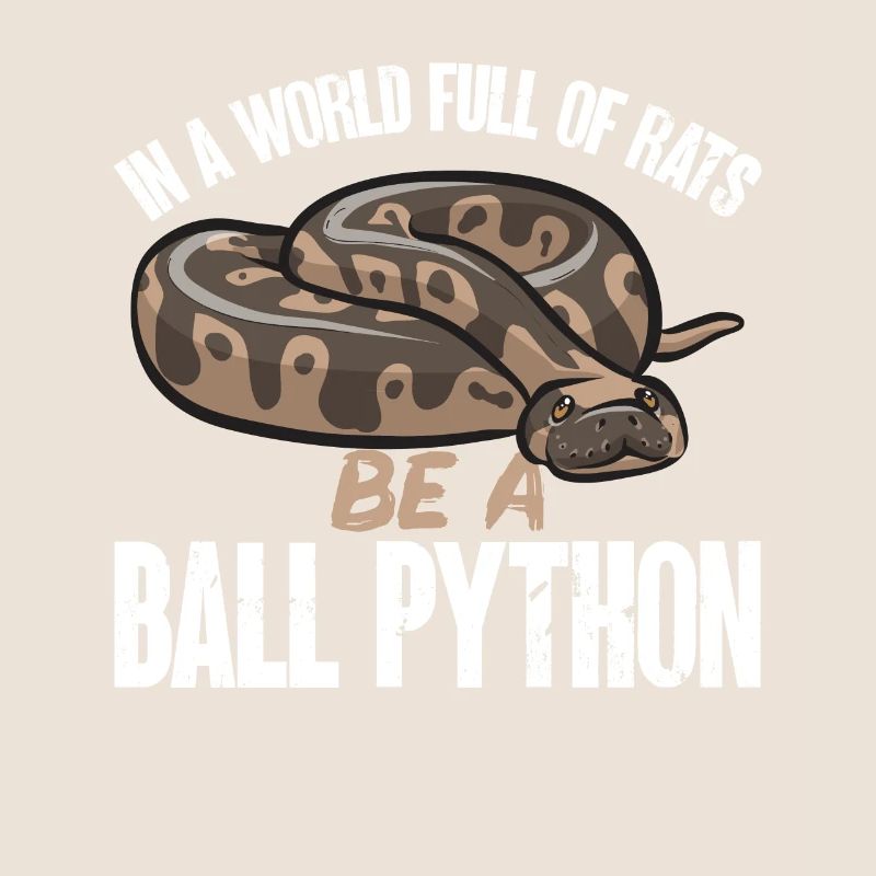 Ball Python Schlange Königspython