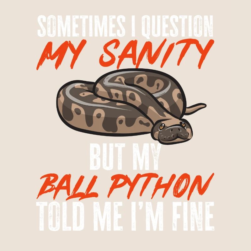 Ball Python Schlange Königspython