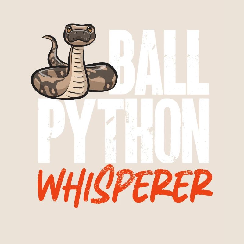 Ball Python Schlange Königspython