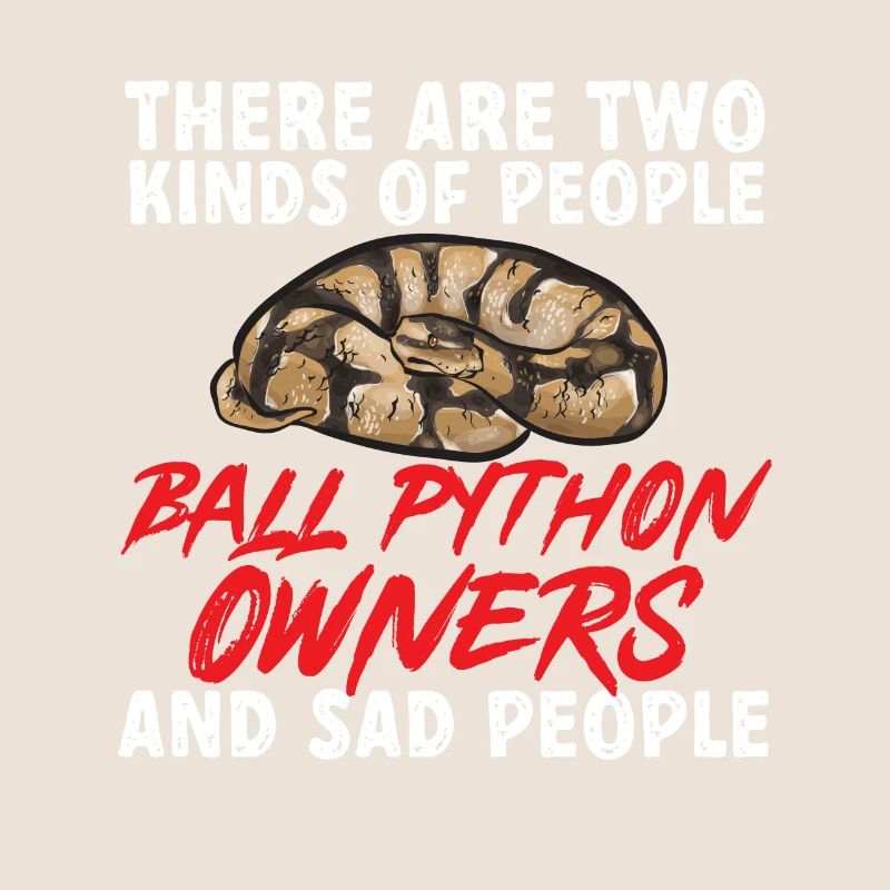 Ball Python Schlange Königspython