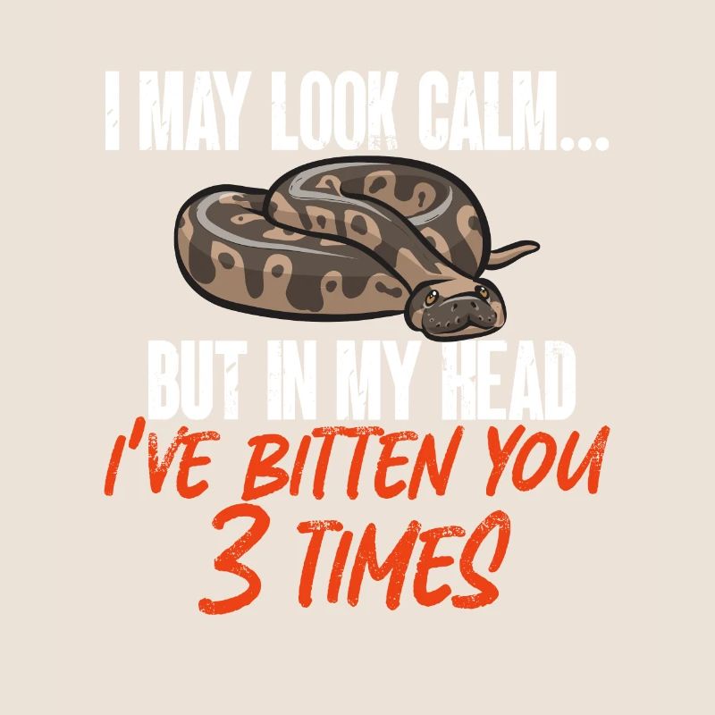 Ball Python Schlange Königspython