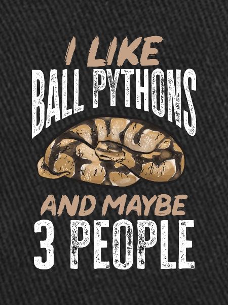 Ball Python Schlange Königspython
