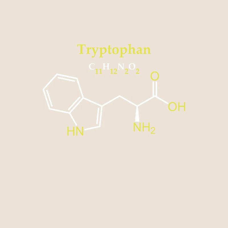 Tryptophane Molécule