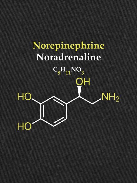 Norepinephrine Molécule