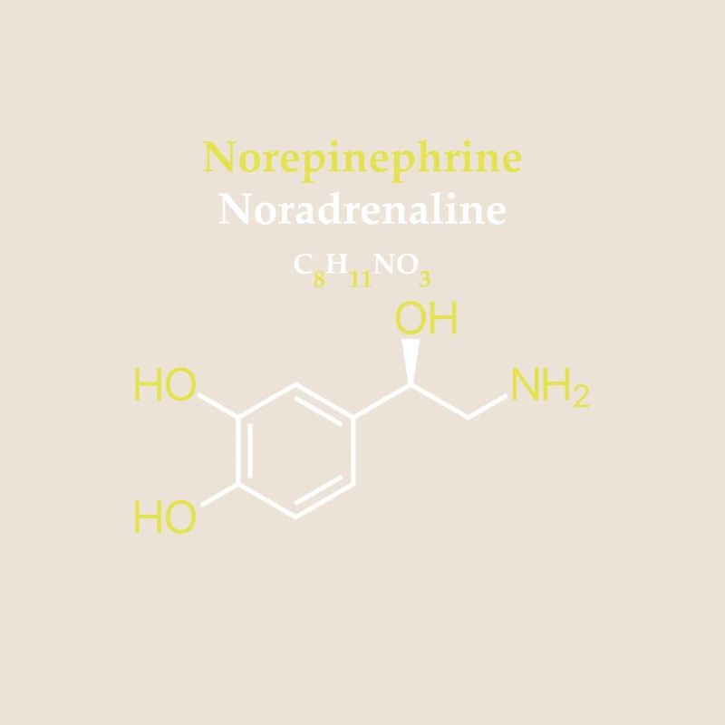Norepinephrine Molécule