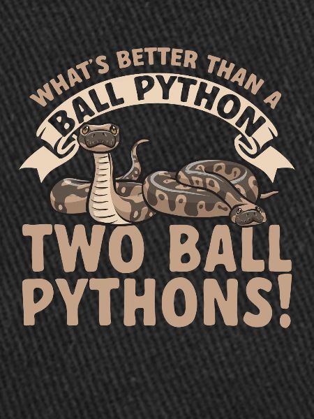 Ball Python Schlange Königspython