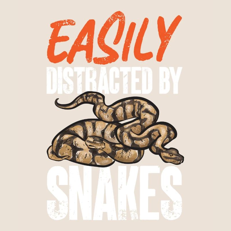 Ball Python Schlange Königspython