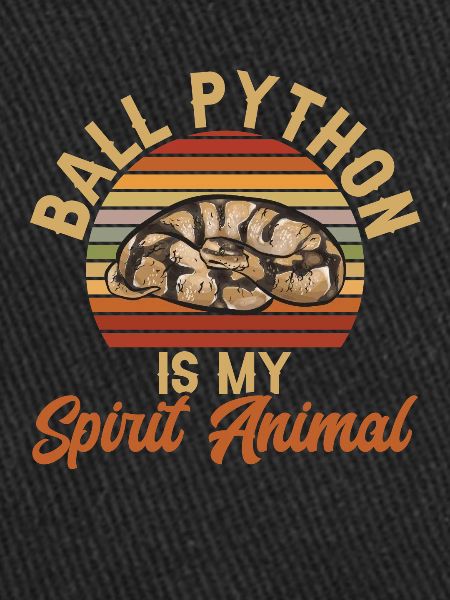 Ball Python Snake King Python