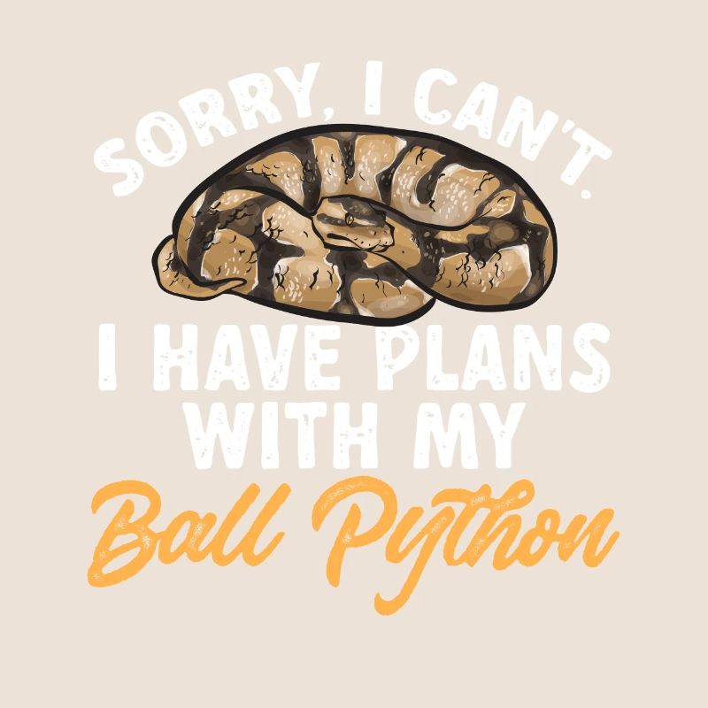 Ball Python Schlange Königspython