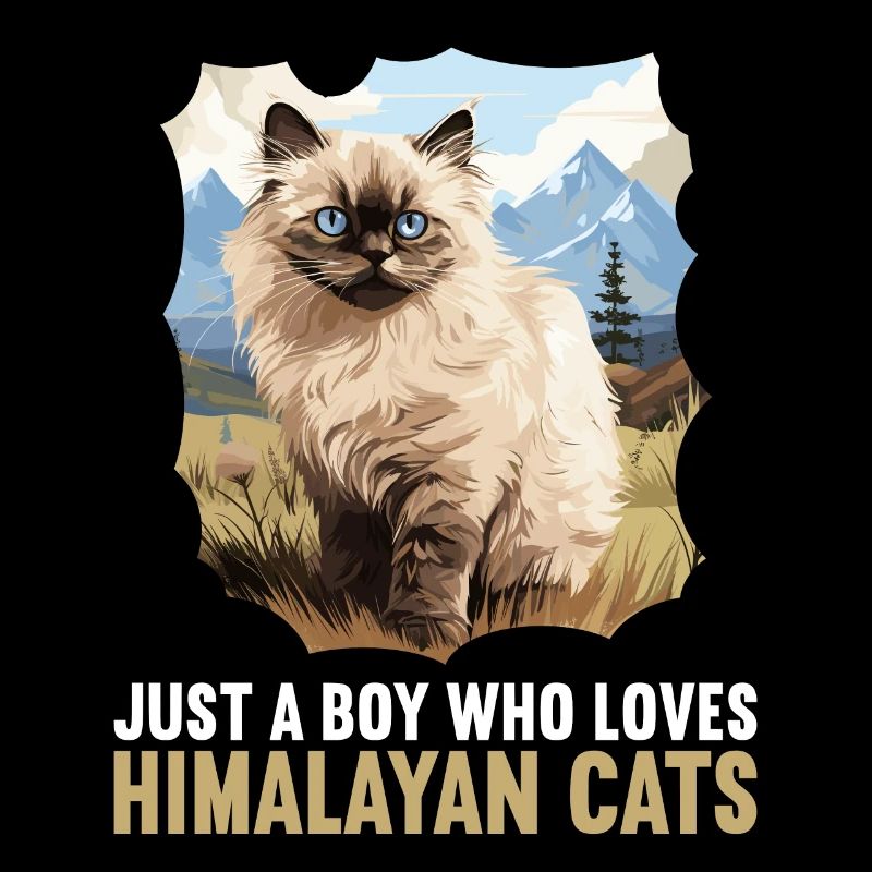 Chat de l’Himalaya Colourpoint Katze