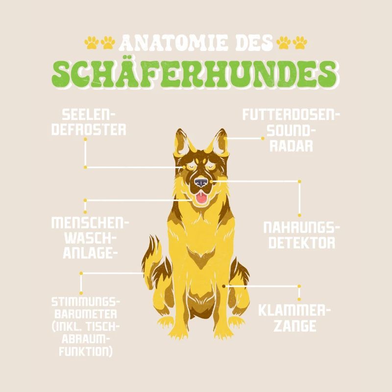 Deutscher Schäferhund ANATOMIE DES SCHÄFERHUNDES