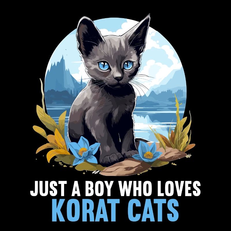 Korat Chaton Korat Chat
