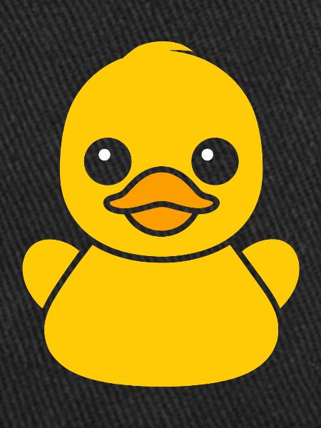 canard