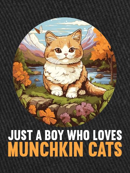Munchkin Chaton Munchkin Chat