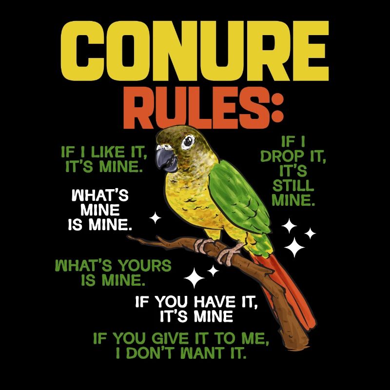 Molina Perruche Perroquet Perruche Oiseau Perruche